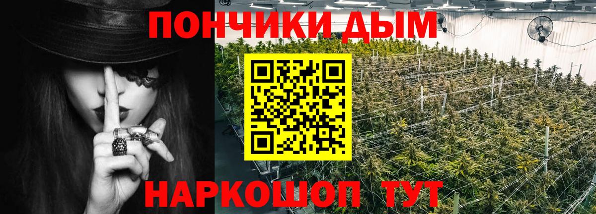 Канабис MAZAR  Каннабис гибрид  МАРИХУАНА ГИДРОПОН  Вход с VPN  Ставрополь  Канабис LSD WEED 